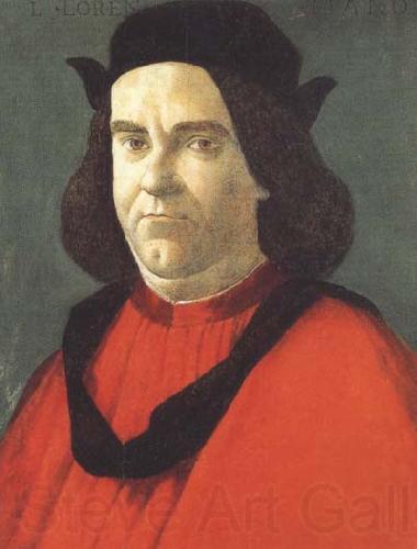 Sandro Botticelli Portrait of Lorenzo de'Lorenzi Norge oil painting art